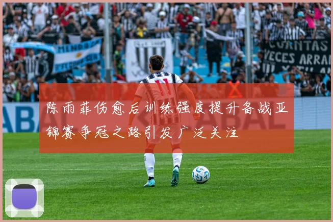 陈雨菲伤愈后训练强度提升备战亚锦赛争冠之路引发广泛关注